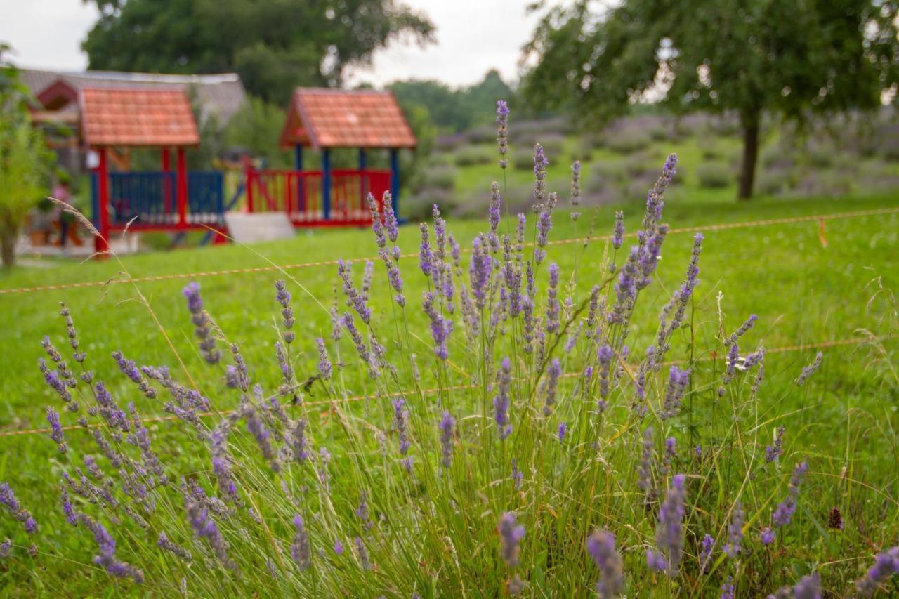 Lavanda Farm Apartmani غاكوفيتسا المظهر الخارجي الصورة