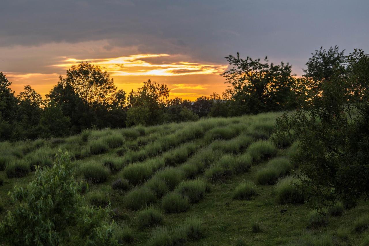 Lavanda Farm Apartmani غاكوفيتسا المظهر الخارجي الصورة