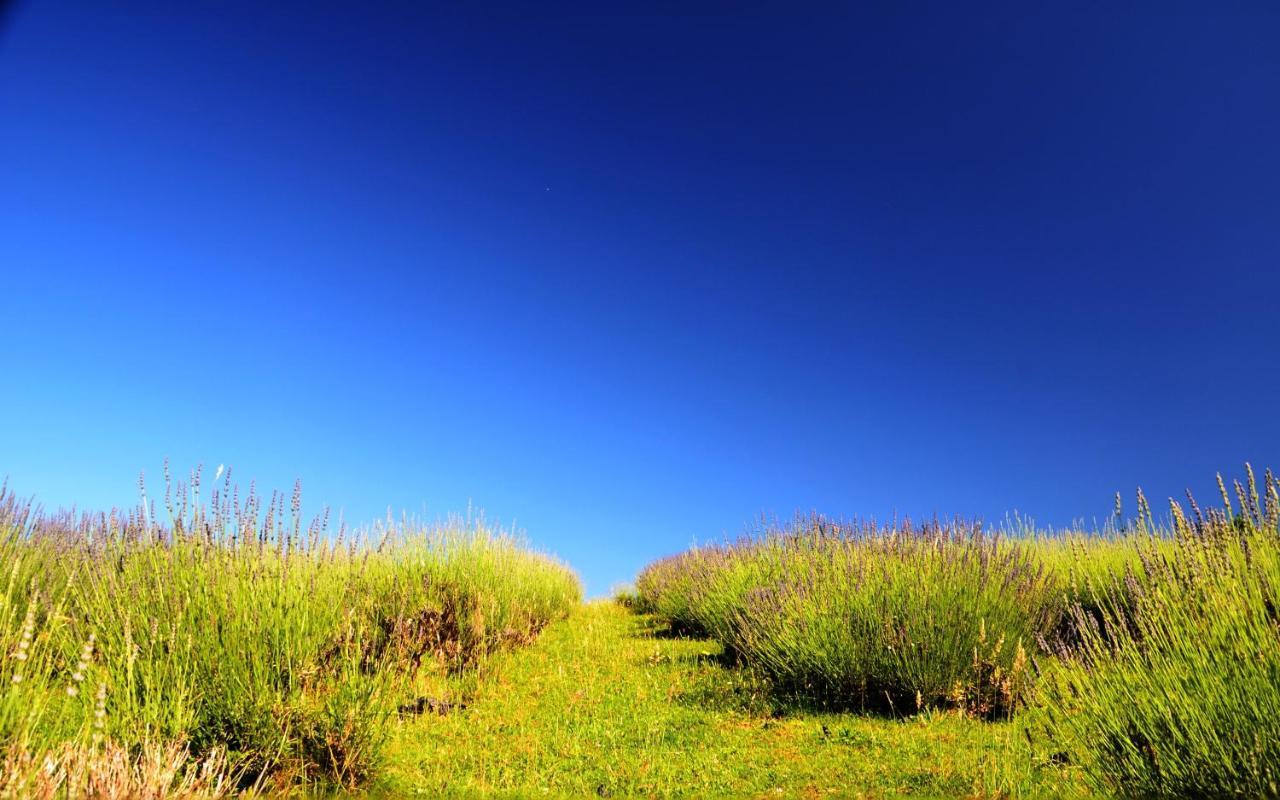 Lavanda Farm Apartmani غاكوفيتسا المظهر الخارجي الصورة