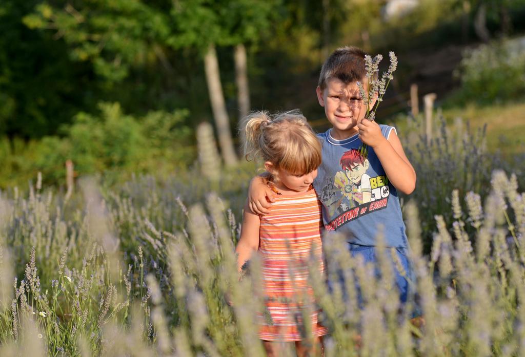 Lavanda Farm Apartmani غاكوفيتسا المظهر الخارجي الصورة