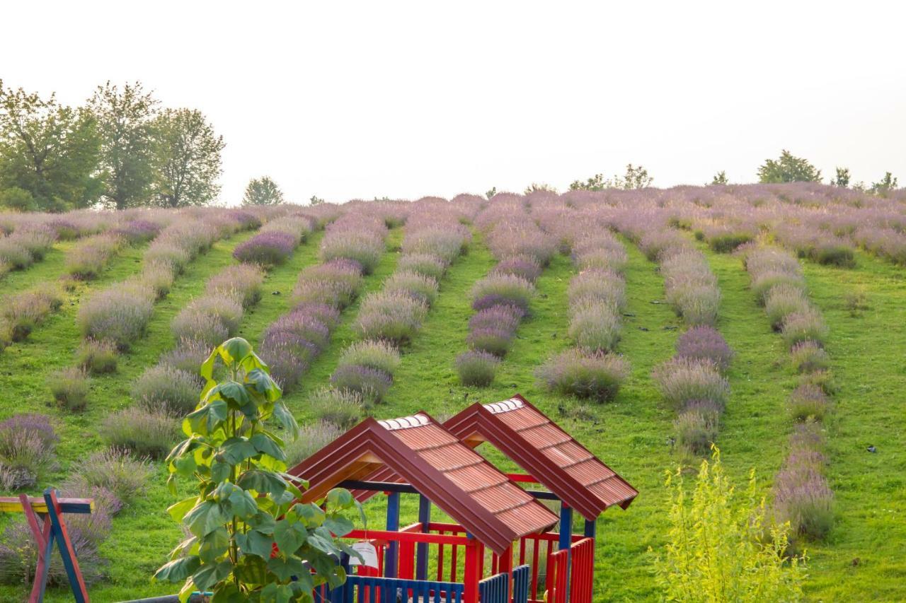 Lavanda Farm Apartmani غاكوفيتسا المظهر الخارجي الصورة